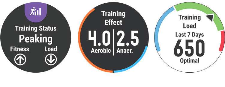 Forerunner 645 Garmin erlojua korrika egiteko